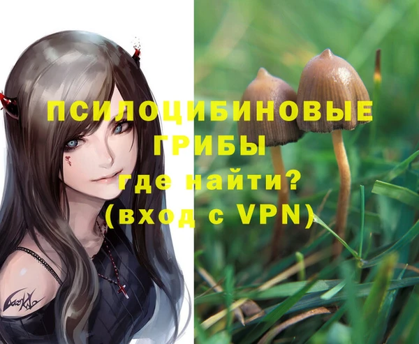 соль ск Алексин