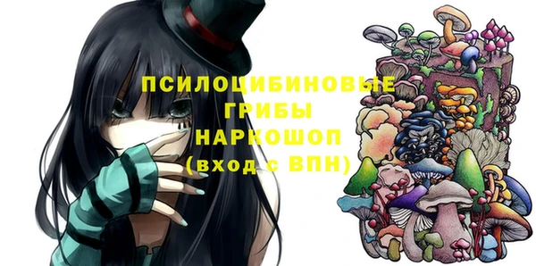 соль ск Алексин