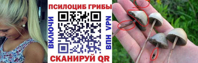цена   Островной  Галлюциногенные грибы прущие грибы 